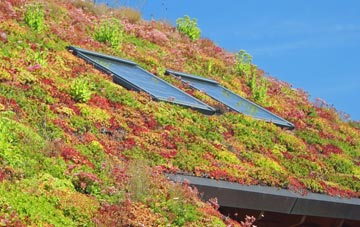 Shepreth living roof systems